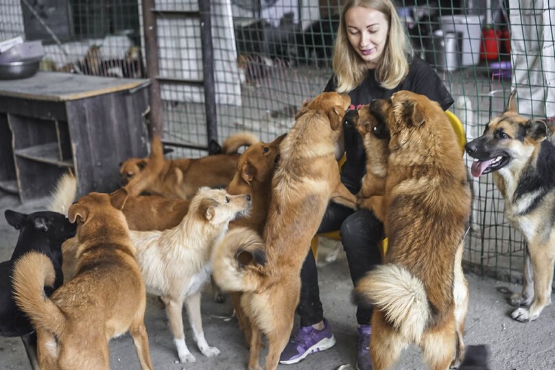 Работа волонтерами для животных в Китае